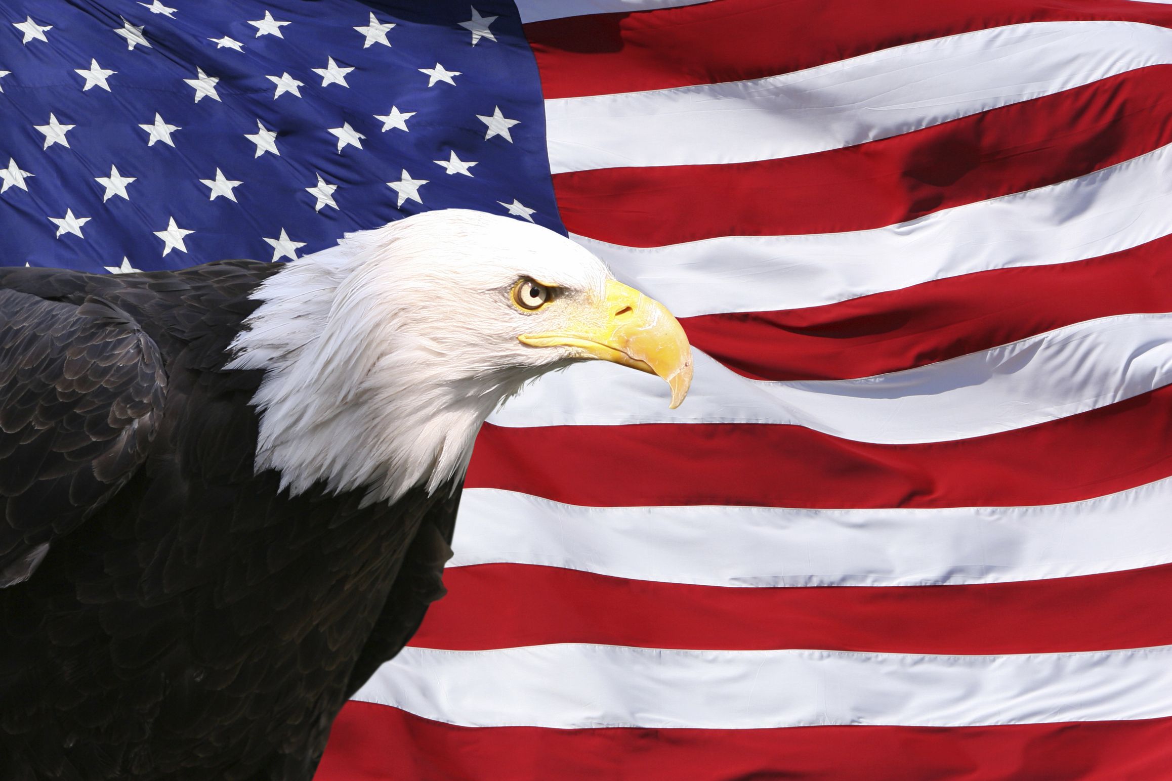 iStock_000006652953_Medium